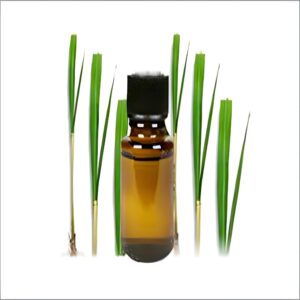 Ginger Grass Oil