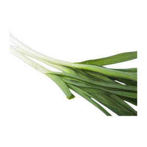 Lemongrass Root