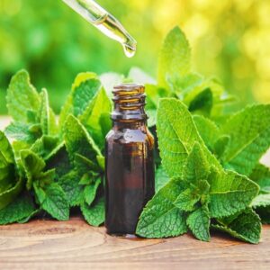 Mint Oil