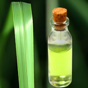 Vetiver Oil